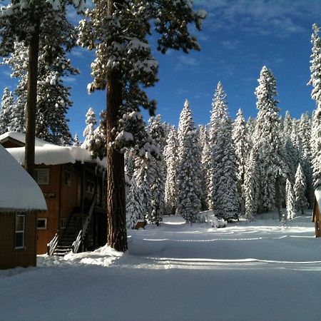 Montecito Sequoia Lodge Wilsonia Bagian luar foto