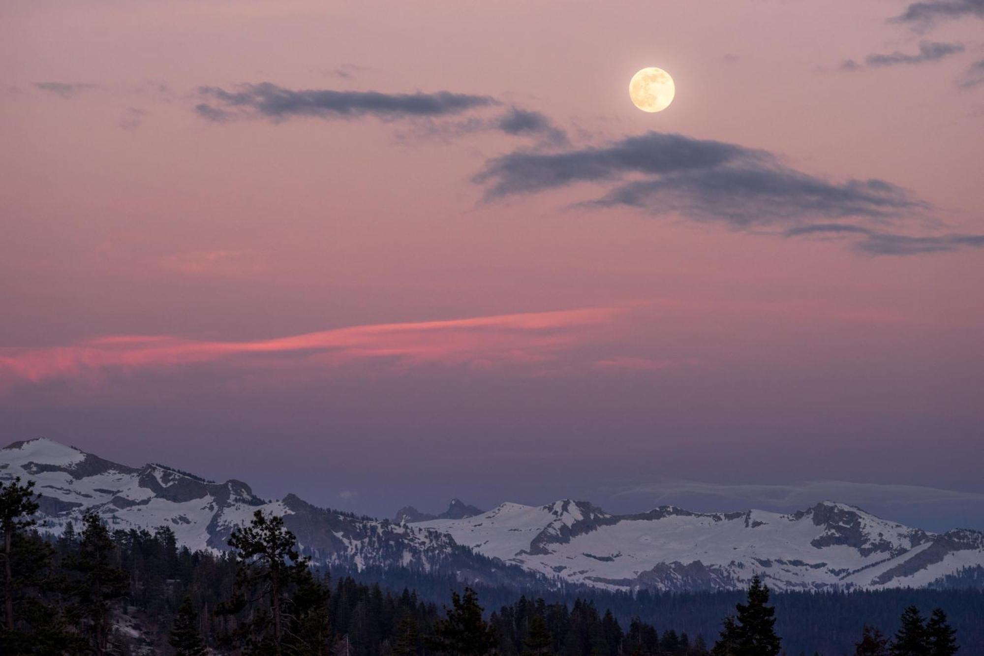 Montecito Sequoia Lodge Wilsonia Bagian luar foto