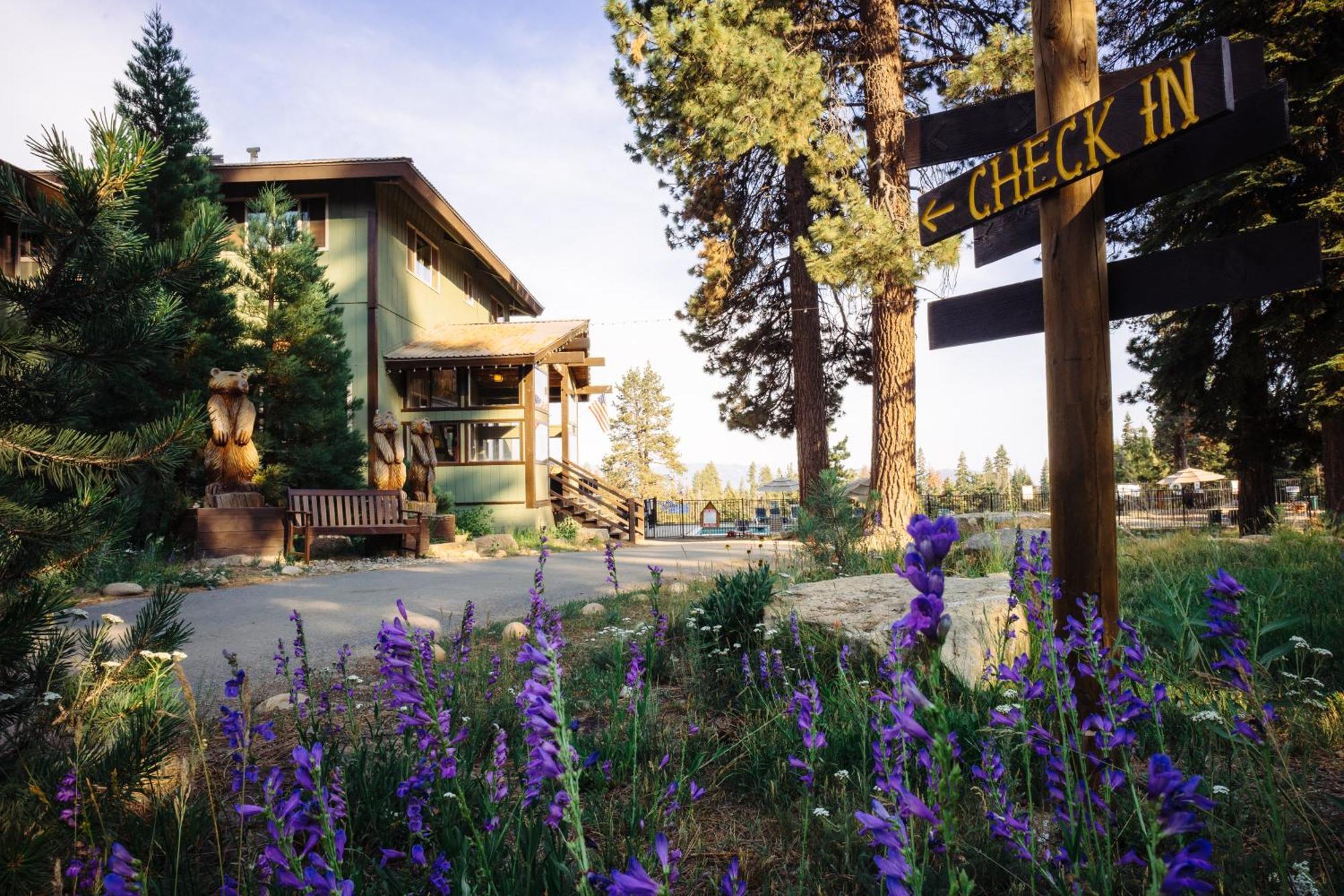 Montecito Sequoia Lodge Wilsonia Bagian luar foto