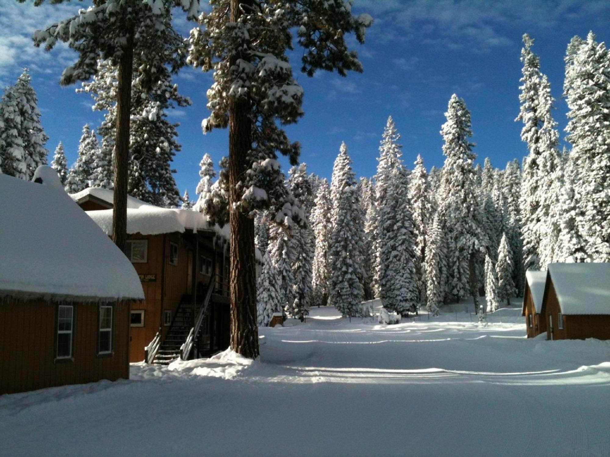 Montecito Sequoia Lodge Wilsonia Bagian luar foto