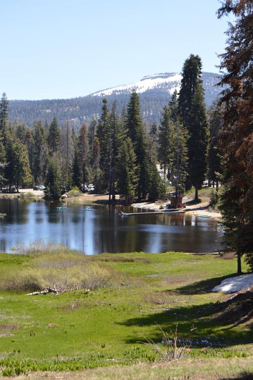 Montecito Sequoia Lodge Wilsonia Bagian luar foto