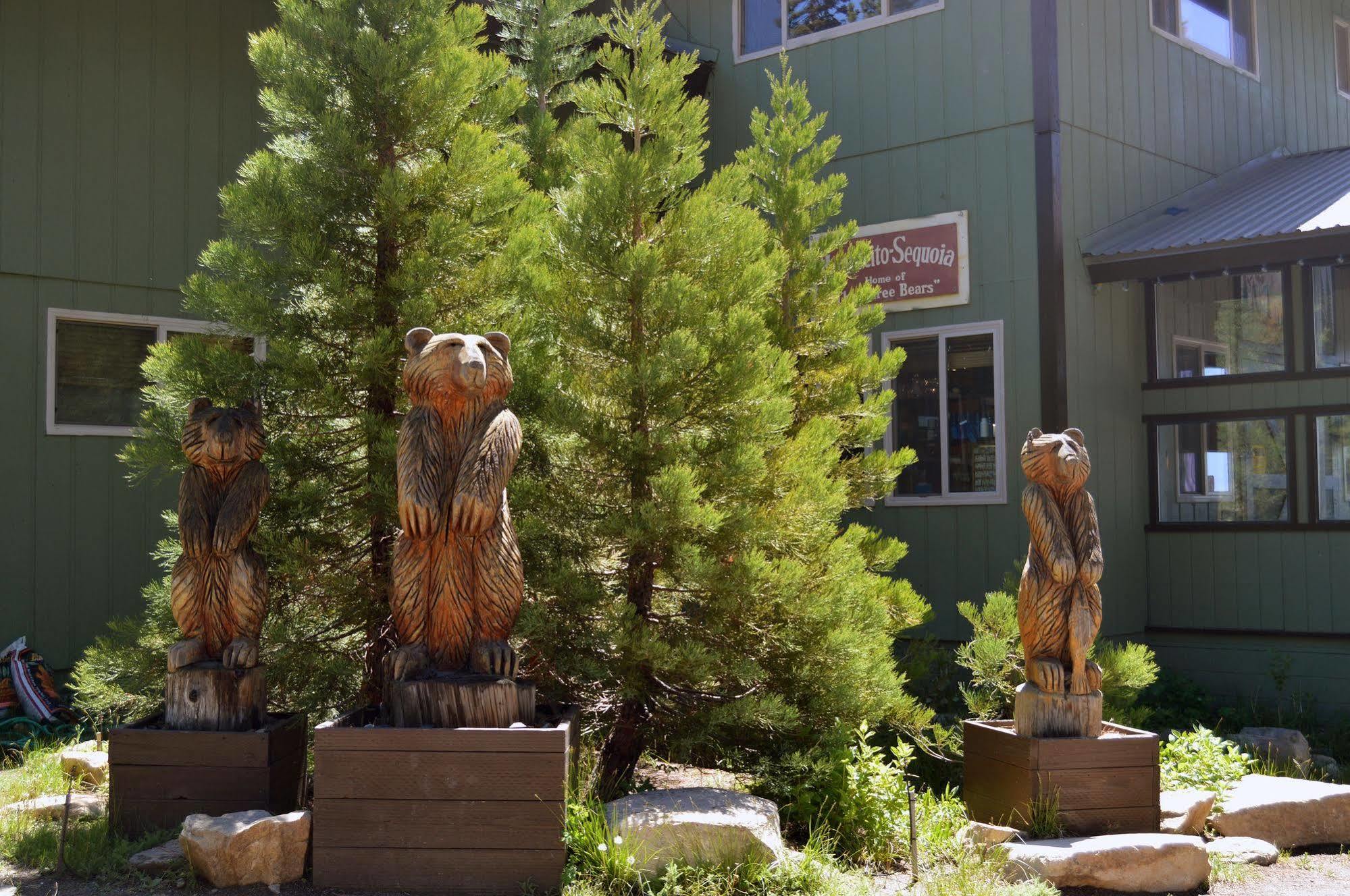 Montecito Sequoia Lodge Wilsonia Bagian luar foto